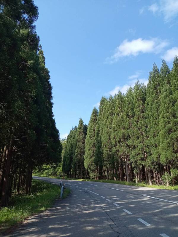 似合うか、似合わないか。 似合うか、似合わないか。