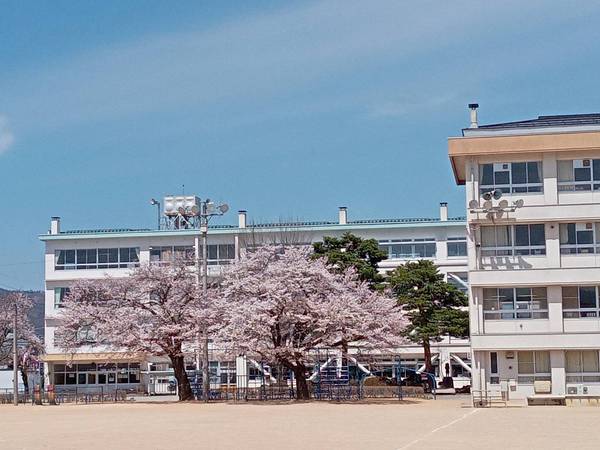 私の持っているモノ .。.・゚ 私の持っているモノ .。.・゚