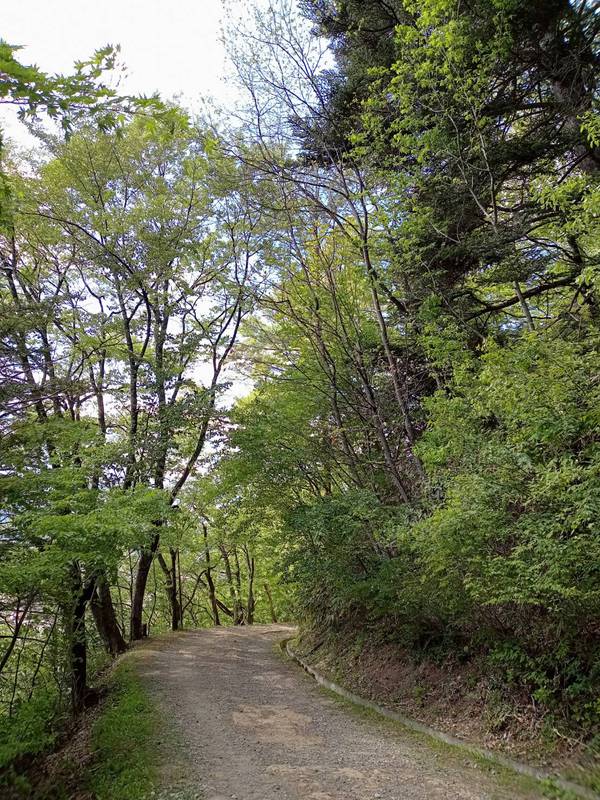 一人行動出来る人ですか??? 一人行動出来る人ですか???