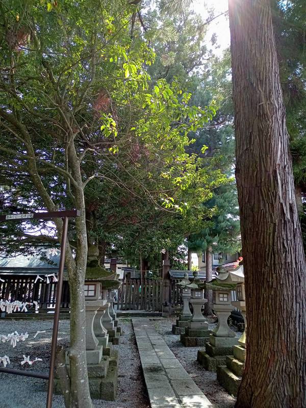 心のやじるしについて.。.・゚ 心のやじるしについて.。.・゚