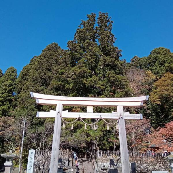 新しい試み(〃∇〃)ゝエヘヘ 新しい試み(〃∇〃)ゝエヘヘ