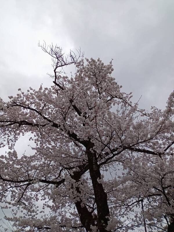 幸せな言葉を口にする(^^♪ 幸せな言葉を口にする(^^♪