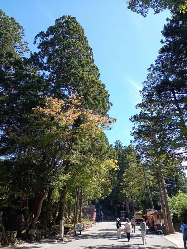 白山神社を巡るツアー(^^♪ 白山神社を巡るツアー(^^♪