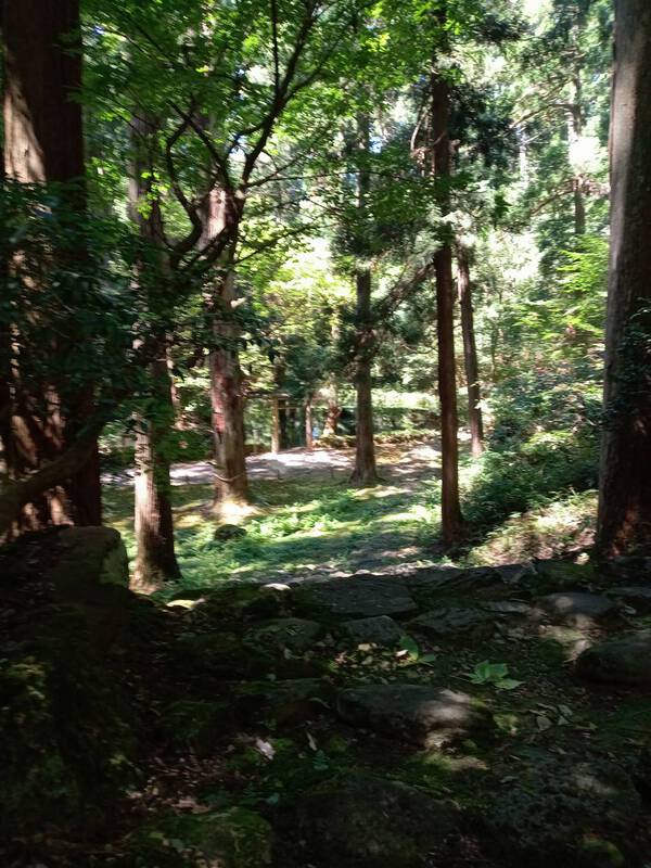 白山神社を巡るツアー(^^♪ 白山神社を巡るツアー(^^♪