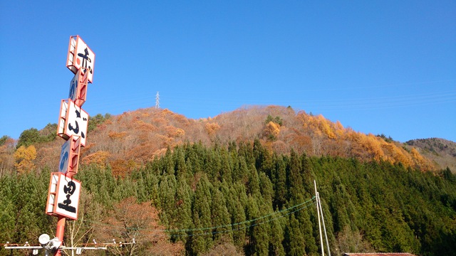 紅葉終わり