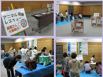 第2回譲渡会 ありがとうございました!