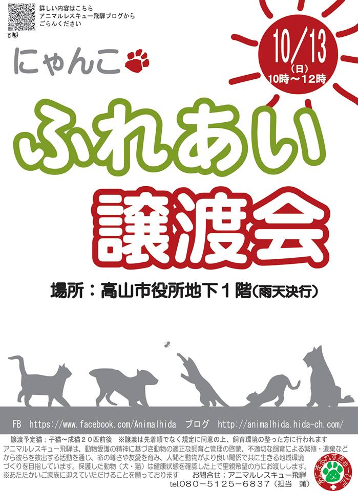 10/13譲渡会開催します!【ボランティアスタッフ急募!!】