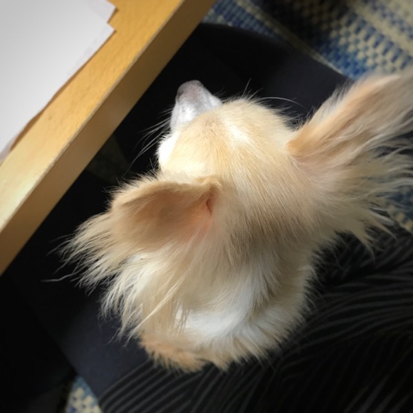 ちくわのいちにち ちくわのいちにち