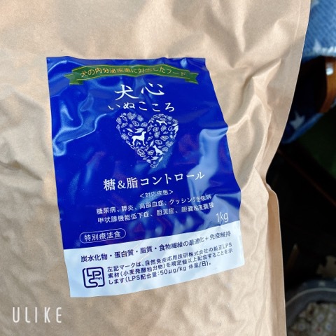 とことん付き合います♪ とことん付き合います♪