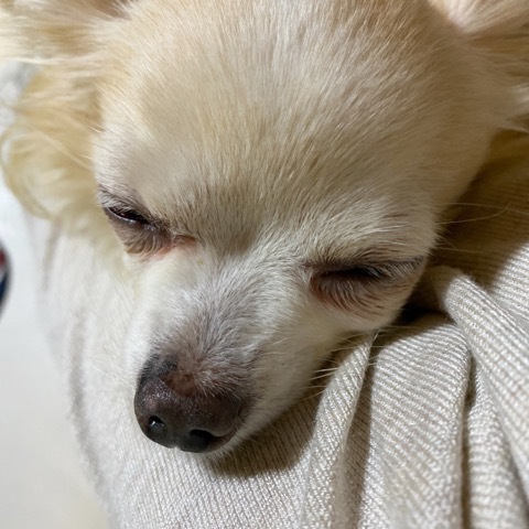 褒められジュエリー♡ 褒められジュエリー♡