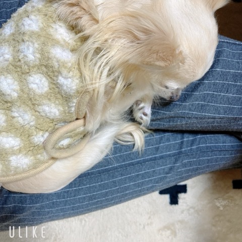 母の日セット、もうすぐです♪ 母の日セット、もうすぐです♪
