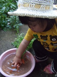 かき氷☆