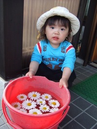 お花、きれいだよ~!