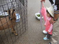 わくわく動物園!!