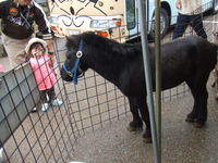 わくわく動物園!!