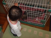 アンパンマン♪