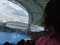 名古屋港水族館