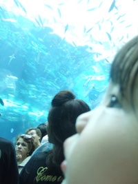 名古屋港水族館