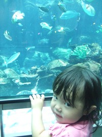 名古屋港水族館