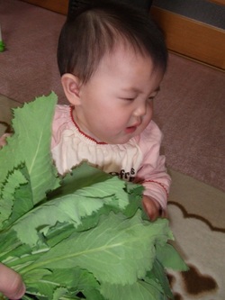 家庭菜園