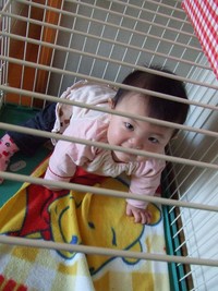 犬かっ! パート2