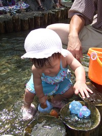 水没。。。