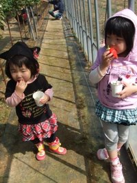 ☆イチゴ狩り☆