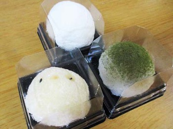 やっと『春の気配』が… ^^