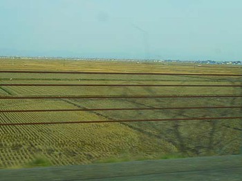 高山に帰ってきました 遠かった~ ^^;