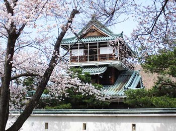 『定期検診』と『神岡のさくら』 ^^