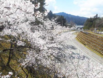 ちょっとだけ『お散歩』 ^^;