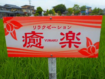 『足つぼマッサージ』何と悲鳴無し!! ^^
