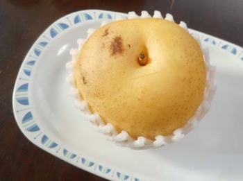 甘~い『梨』もらっちゃった ^^