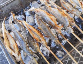『小坂いわな祭り』~『美女ケ池のかいぼり』