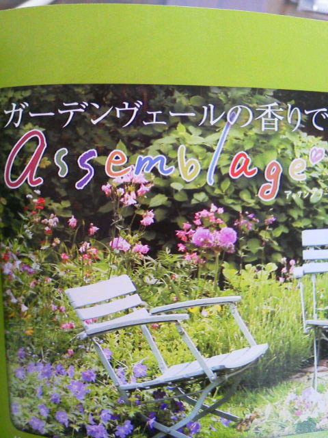 ABのおためし★