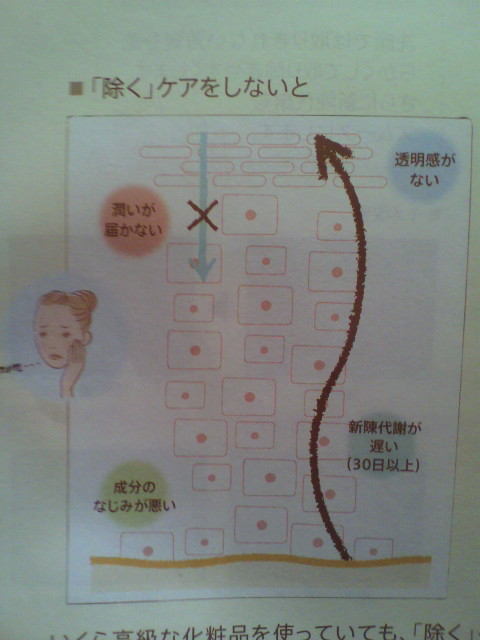 除くケアとキャリア