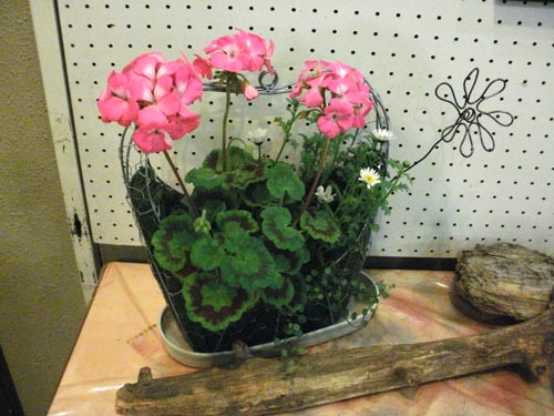 ミニギャラリー ~寄せ植え華道協会飛騨支部