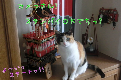 秋祭り観光大使に任命!? 秋祭り観光大使に任命!?