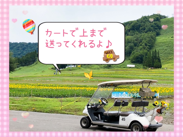 明日 “ほおのき平”【天空のひまわり園】に出店します!╰(*´︶`*)╯♡ 明日 “ほおのき平”【天空のひまわり園】に出店します!╰(*´︶`*)╯♡