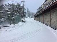 新宮町の道路が雪で元通りに