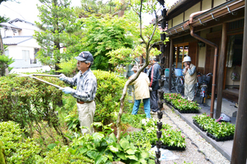 庭木セミナー1回目!(6/6・(土) 庭木セミナー1回目!(6/6・(土)