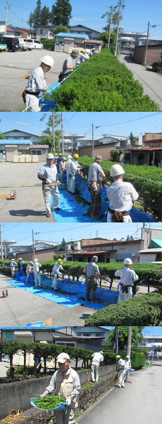 護身術講座2回目(7/10)・庭木セミナー3回目(7/11) 護身術講座2回目(7/10)・庭木セミナー3回目(7/11)