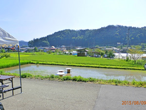 競技をする田んぼ 競技をする田んぼ