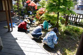 まち協総会 と 草むしり まち協総会 と 草むしり