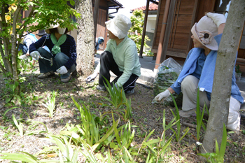 まち協総会 と 草むしり まち協総会 と 草むしり