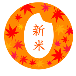 10/15 稲刈り体験☆ 10/15 稲刈り体験☆