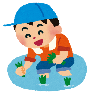 田植え体験! 田植え体験!