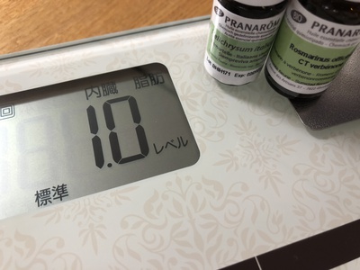 内臓脂肪 内臓脂肪