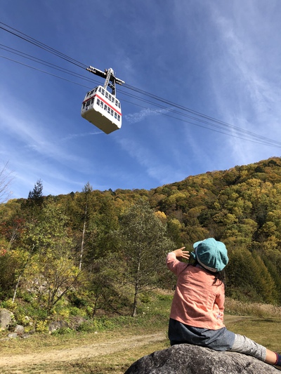 新穂高ロープウェイから見た紅葉 新穂高ロープウェイから見た紅葉