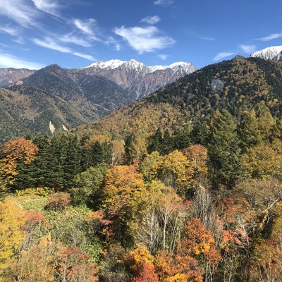 新穂高ロープウェイから見た紅葉 新穂高ロープウェイから見た紅葉